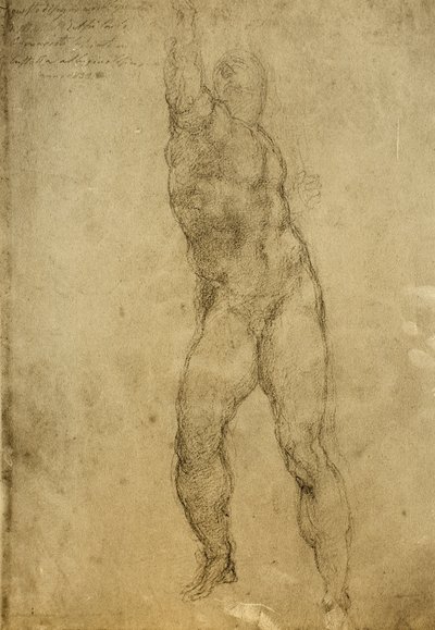 ミケランジェロが描いたヌード研究。ギャラリーデルアカデミア、ヴェネツィア 作： Michelangelo Buonarroti
