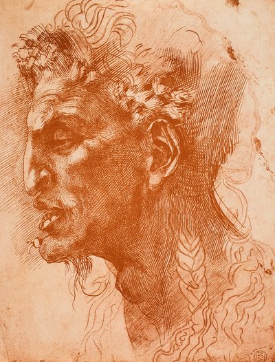 サテュロスの頭;ミケランジェロの絵。ルーブル美術館、パリ 作： Michelangelo Buonarroti