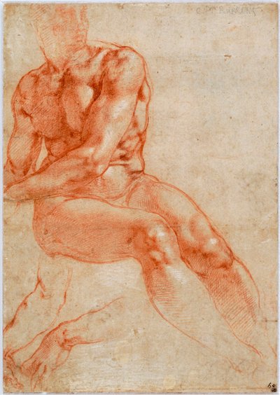 着席した若い男性のヌードと2つの腕の研究、1510〜1511年頃 作： Michelangelo Buonarroti