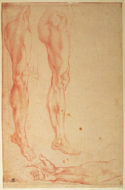 脚と腕の研究（紙に赤いチョーク） 作： Michelangelo Buonarroti