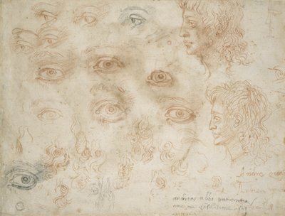 二つの頭の研究、1525年頃（紙にチョーク） 作： Michelangelo Buonarroti