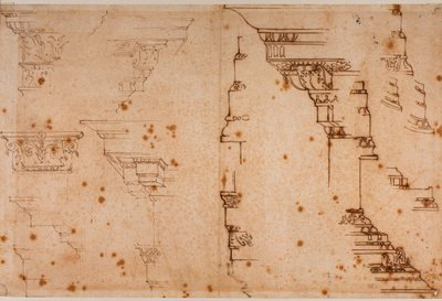 建築要素の研究 作： Michelangelo Buonarroti