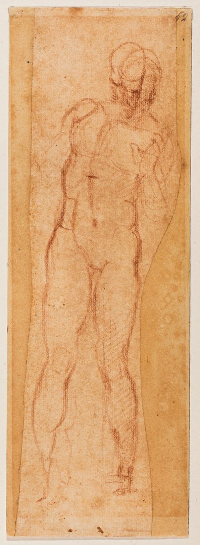 男らしい人物のための習作 作： Michelangelo Buonarroti