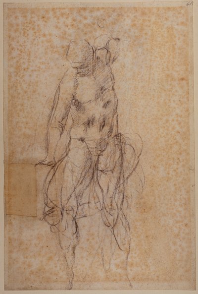 復活したキリストの研究 作： Michelangelo Buonarroti