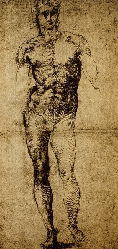 男性のヌード、ミケランジェロブオナローティ（1475〜1564）、絵、パリ、ルーヴル美術館の研究 作： Michelangelo Buonarroti