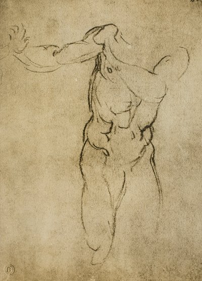 ミケランジェロが描いた男性的なバストの研究。カーサブオナローティ（フィレンツェ） 作： Michelangelo Buonarroti