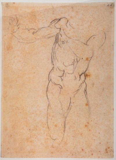 システィーナ礼拝堂の《パルディソ追放》のアダムのための習作 作： Michelangelo Buonarroti