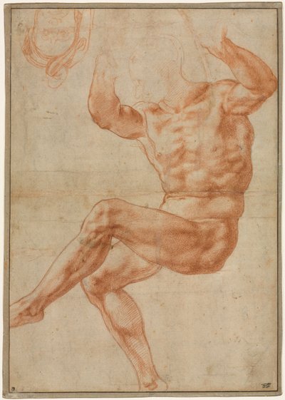 預言者ダニエルに関する裸の若者のための研究（直訳） 作： Michelangelo Buonarroti