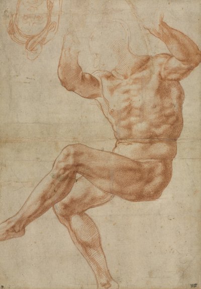 預言者ダニエルをめぐるヌード青年のための研究、システィーナの天井のため、1510-11 作： Michelangelo Buonarroti