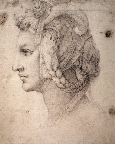頭の研究 作： Michelangelo Buonarroti