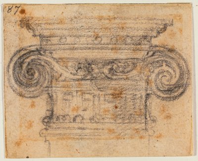 イオン資本の研究 作： Michelangelo Buonarroti