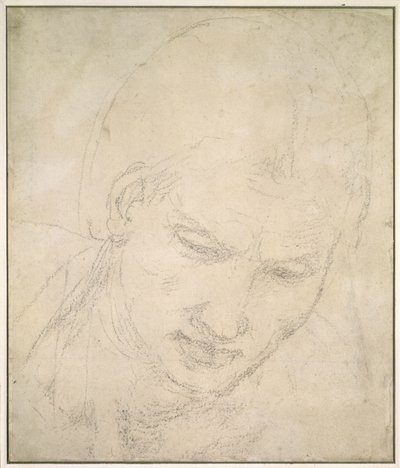 頭の研究（白い紙に黒いチョーク） 作： Michelangelo Buonarroti