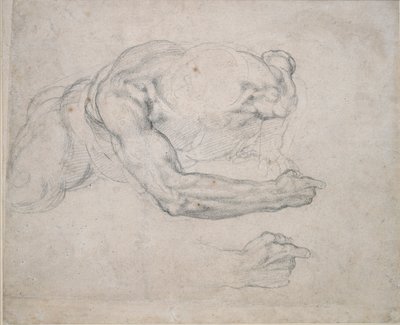 地面から立ち上がる男の習作、16世紀 作： Michelangelo Buonarroti