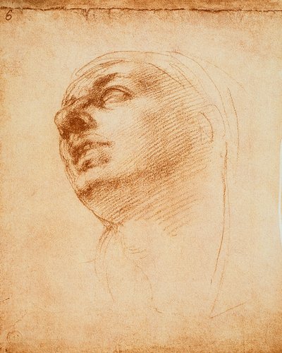 ミケランジェロが描いた顔の研究。カーサブオナローティ（フィレンツェ） 作： Michelangelo Buonarroti