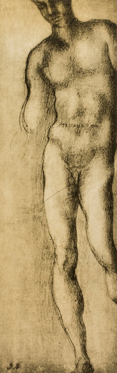 ミケランジェロが描いた男性的な人物の研究。カーサブオナローティ（フィレンツェ） 作： Michelangelo Buonarroti