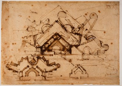 強化の研究 作： Michelangelo Buonarroti
