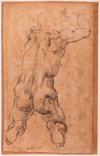 ひざまずく男性ヌードの習作 作： Michelangelo Buonarroti
