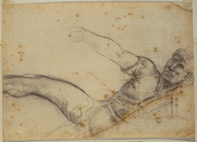 非オートグラフ図形と碑文の研究 作： Michelangelo Buonarroti