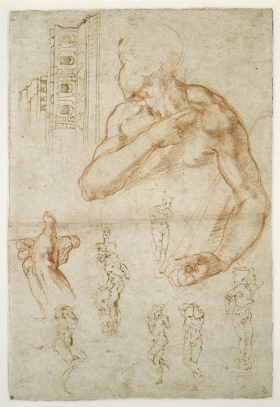 リビアのシビルの援助図の研究、c.1512（紙に書かれた赤いチョークとペン） 作： Michelangelo Buonarroti