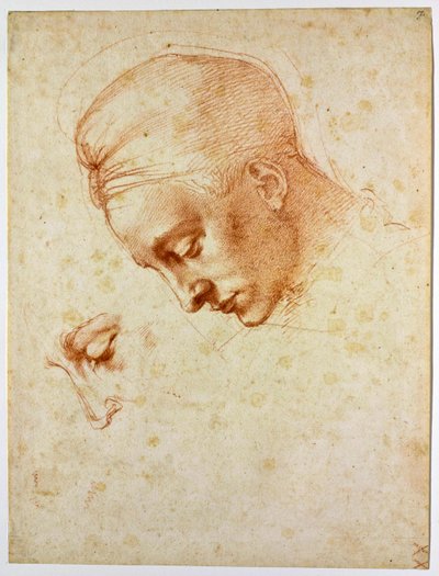 レダの首長、1530年頃の研究 作： Michelangelo Buonarroti