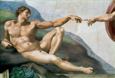 アダムの創造。バチカン市国のシスティーナ礼拝堂の天井の詳細、1508年から1512年。 作： Michelangelo Buonarroti