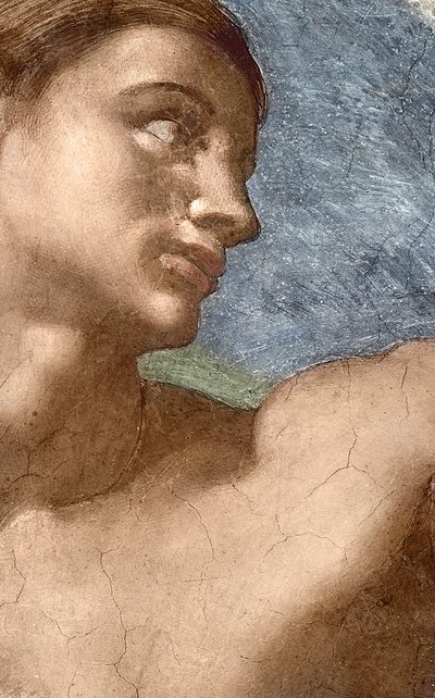 アダムの創造、アダムの頭部のディテール 作： Michelangelo Buonarroti