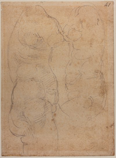 古代ヴィーナスの2つの研究 作： Michelangelo Buonarroti