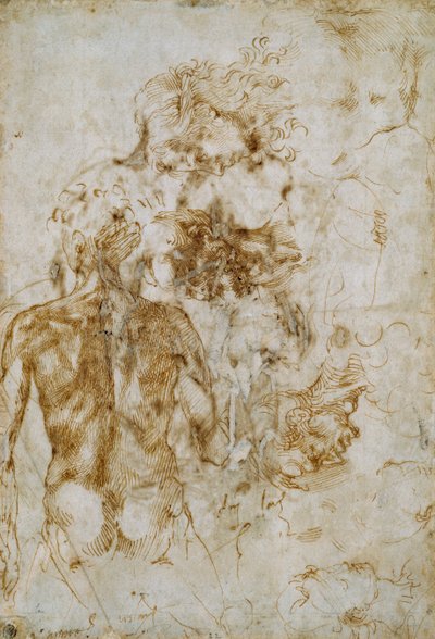 様々な人物研究、c1490-1560 作： Michelangelo Buonarroti