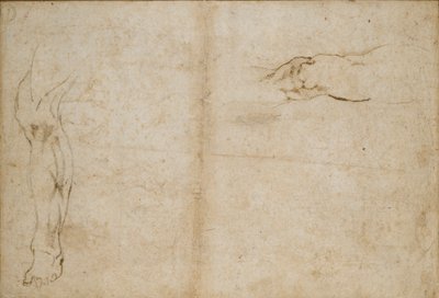 Verso: 男性の足の研究、c1490-1560 作： Michelangelo Buonarroti