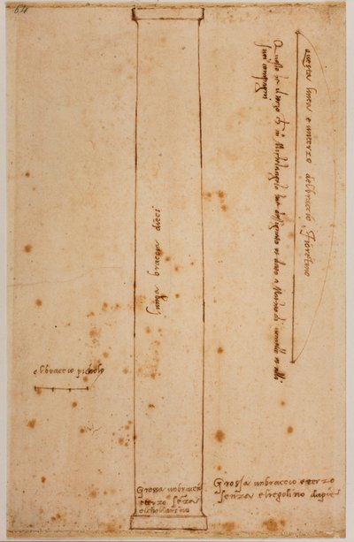サン・ロレンツォのファサードの柱の垂直部分 作： Michelangelo Buonarroti