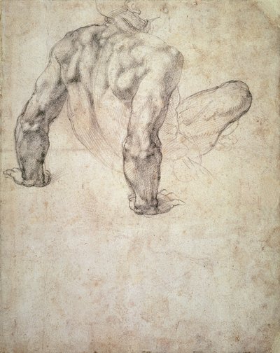 W.63r彼の手にもたれかかった男性のヌードの研究 作： Michelangelo Buonarroti