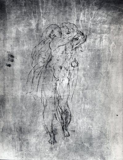 男性像の壁画、1530年頃（石膏に木炭） 作： Michelangelo Buonarroti