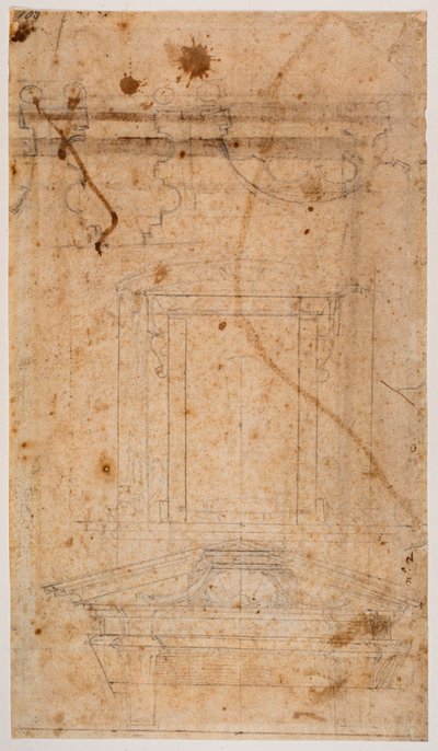 壁墓と教会部分平面図 作： Michelangelo Buonarroti