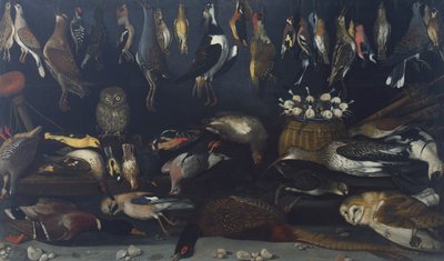 ハートフォード・スティルライフの巨匠による「鳥のいる静物」（油彩・キャンバス 作： Michelangelo Merisi da Caravaggio