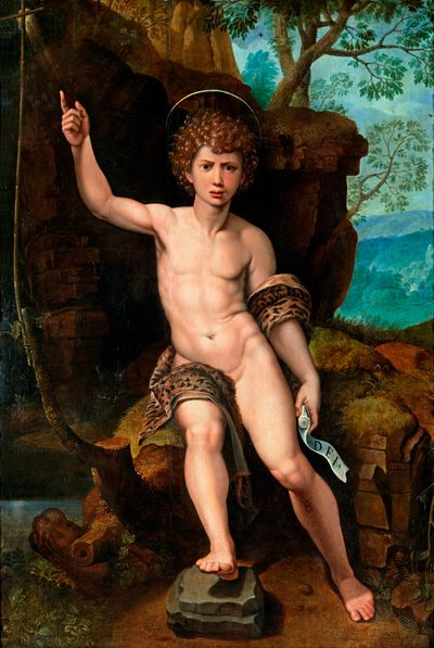 "Representation de saint jean Baptiste" (洗礼者聖ヨハネ) Peinture de Michael Coxcie (Michiel Coxien) (De Coxien, De Coxcie, Coxius, Van Coxcie et Coxie) (1499-1592) 16eme siecle 木に油彩 Dim 104x73 cm Private Collection 作： Michiel I Coxie or Coxcie