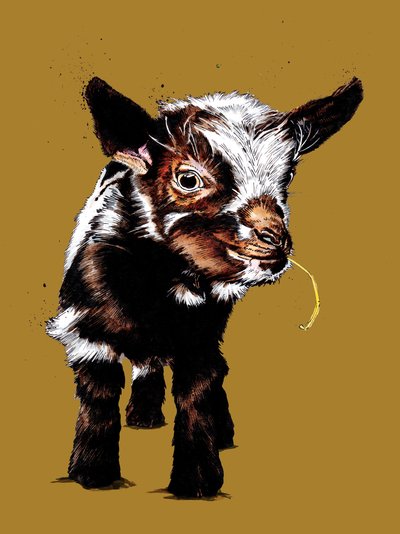 ゴールデンイエローの赤ちゃんヤギ、2020年 作： Mike Davis