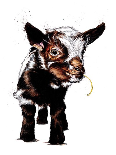 赤ちゃんヤギ、白、2020 作： Mike Davis