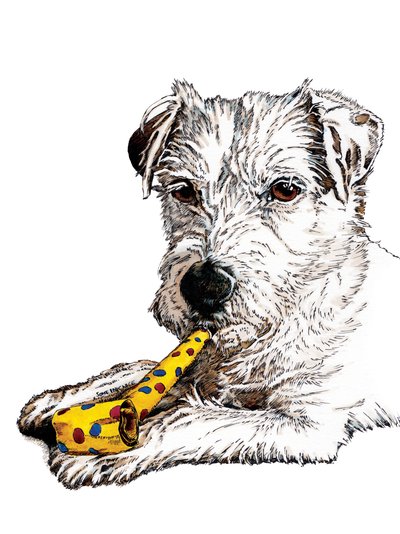 2020年白地のパーソン犬の誕生日 作： Mike Davis