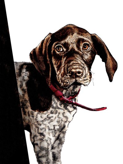 白地にさようなら子犬、2020 作： Mike Davis