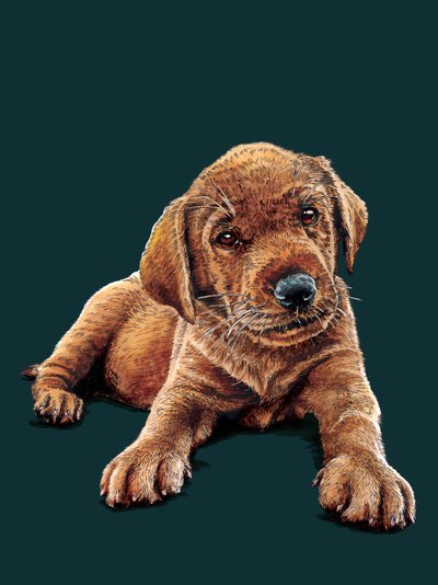 2021 年ディープ シアンの子犬のマージ 作： Mike Davis