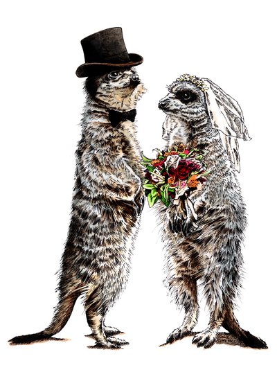 結婚したミーアキャット、白、2020 作： Mike Davis