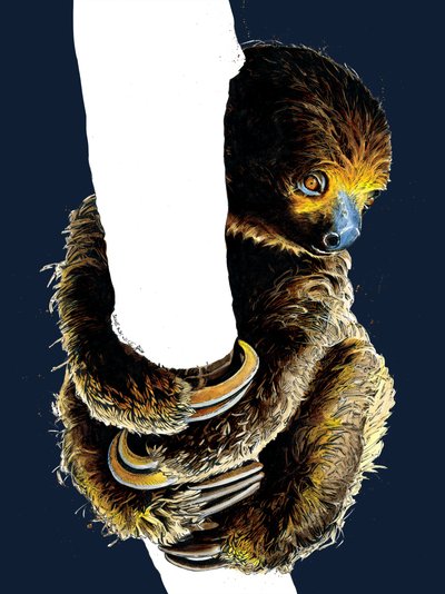 ミッドナイト ブルーのタリタ ザ ナマケモノ、2020 作： Mike Davis