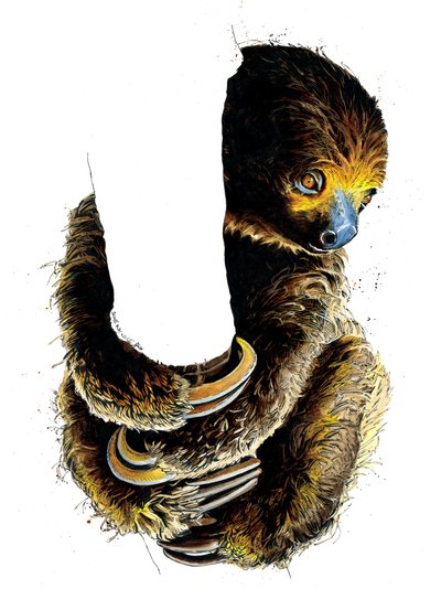 Talita The Sloth on White, 2019   1421521   ja       japanese Successfully Translated  Original: Vue prise dans un atelier ... Translat: Vue prise dans un atelier ... 1235428 ja japanese Successfully Translated Original: Still Life with Oysters, c1616-1666 作： Mike Davis