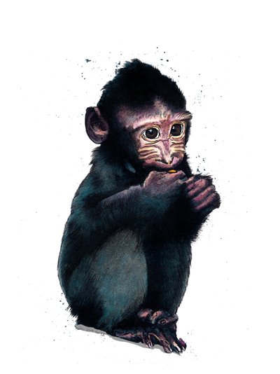 白の赤ちゃんマカク、2020 作： Mike Davis
