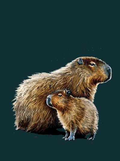 ディープシアンのカピバラ、2020 作： Mike Davis