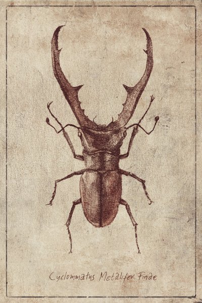  作： 
