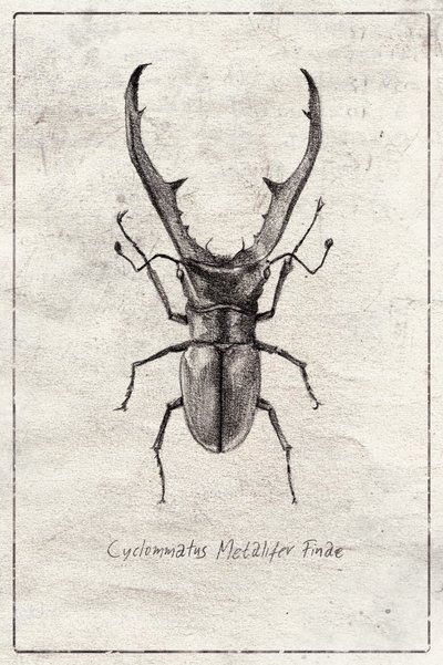  作： 