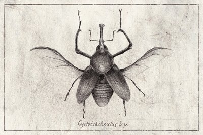  作： 