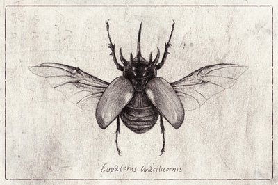  作： 