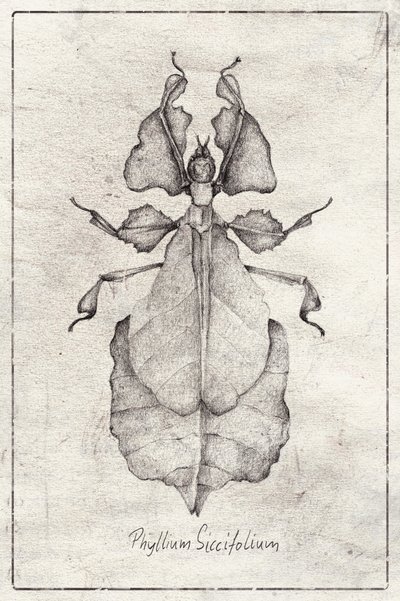  作： 